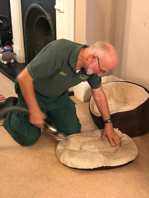 Photo of Pixies' Paul cleaning a cushion