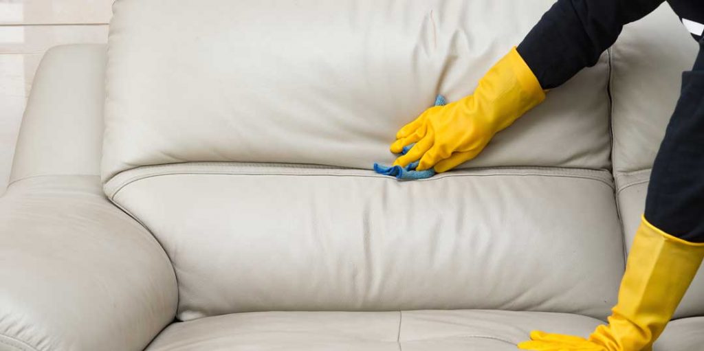 Professional cleaner wiping a leather sofa